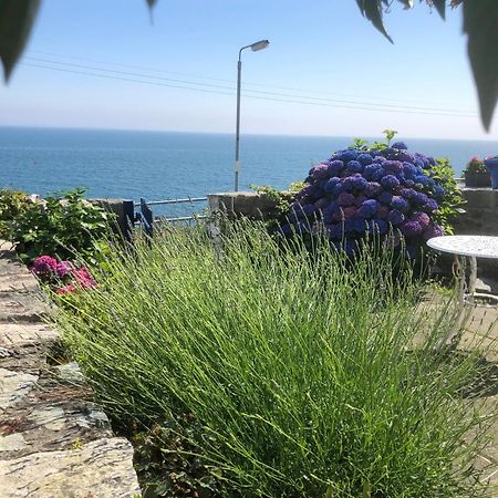 Slieve Donard Cottage Widows Row Cottages Newcastle  Luaran gambar